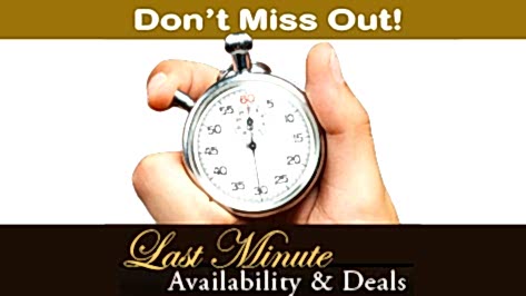 Last Minute Availability